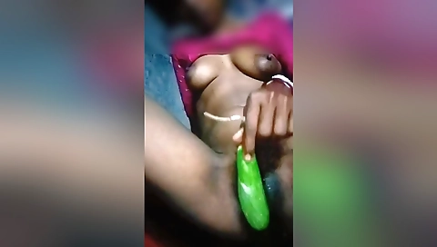 Free Hairy Porn Videos - vicebangla.com