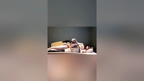 Free Stockings Porn Videos - vicebangla.com